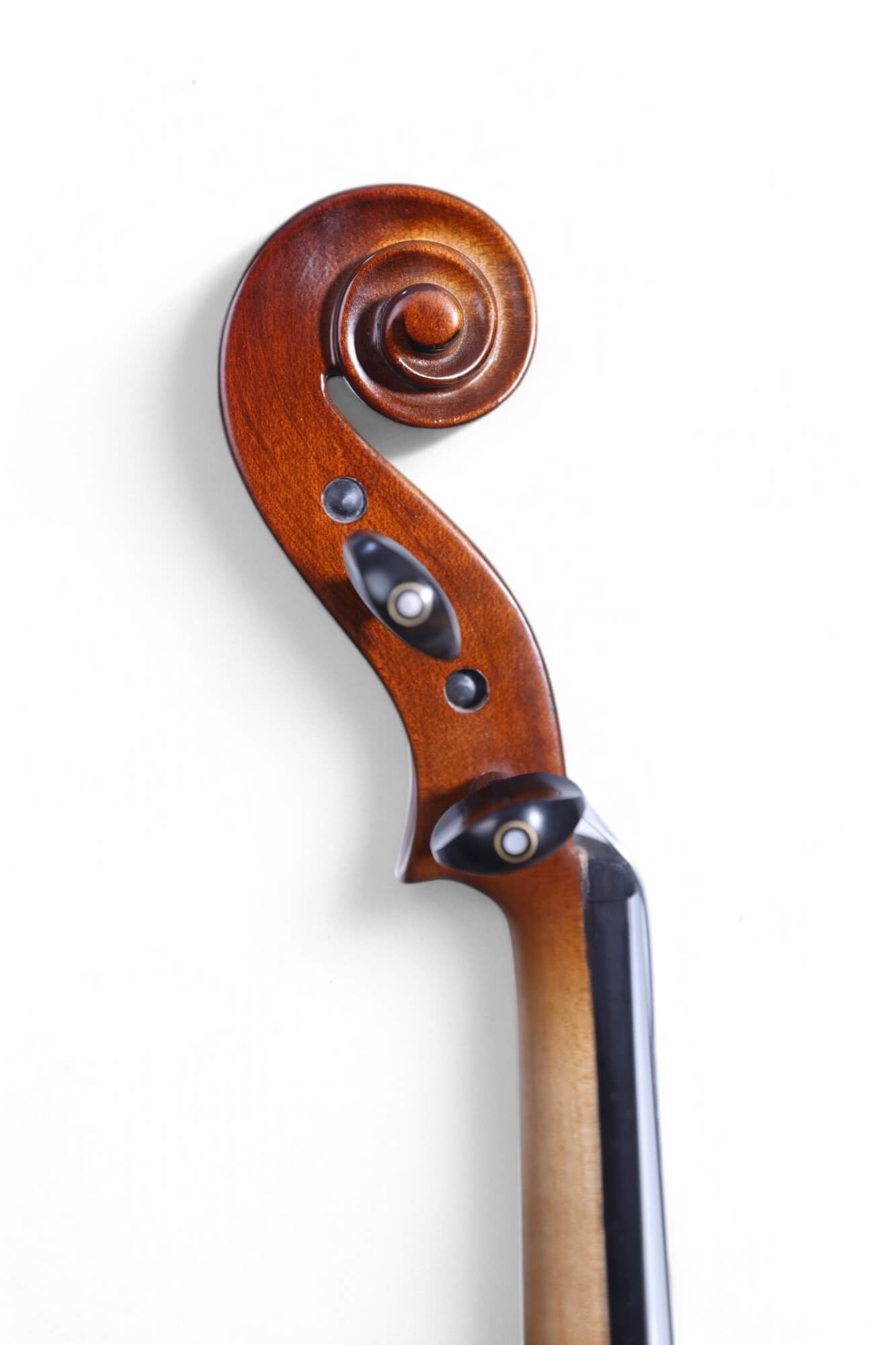 Carlos Marshello MV300 4/4 Size Violin - Deccan Retail