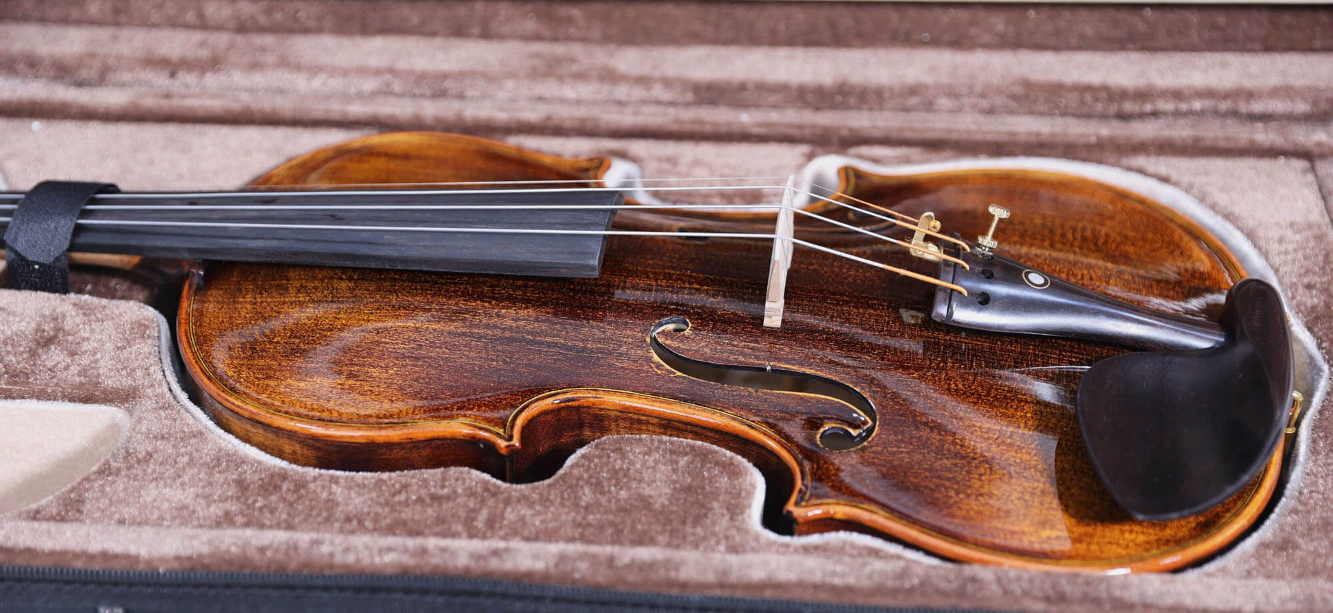 Carlos Marshello MV600D Premium 4/4 Size Violin - Deccan Retail