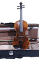 Carlos Marshello MV600D Premium 4/4 Size Violin - Deccan Retail