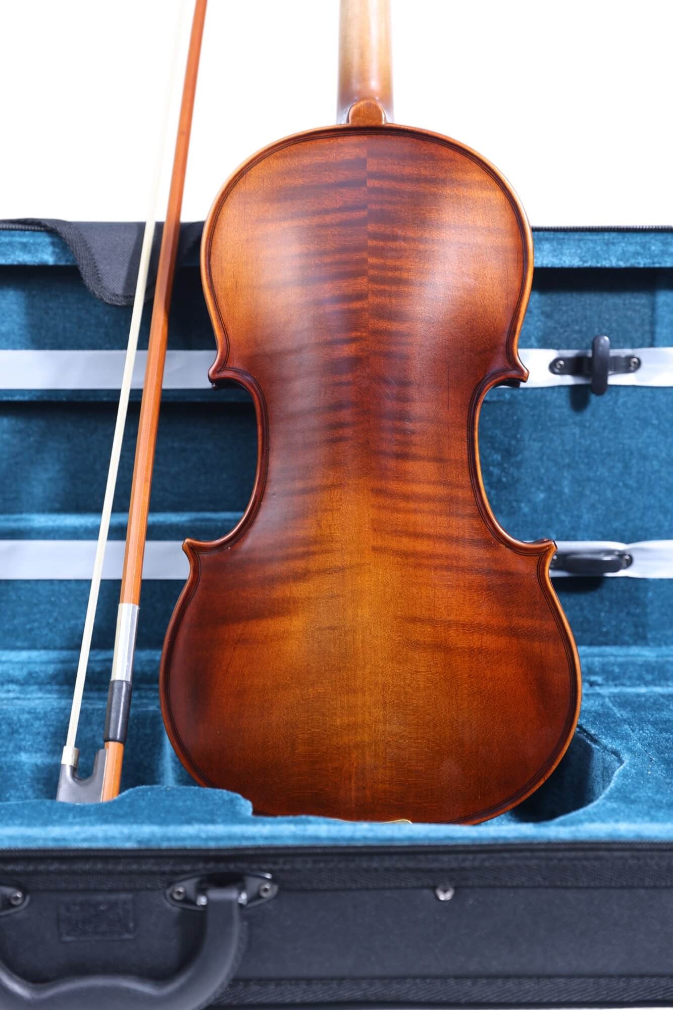 Carlos Marshello MV300 4/4 Size Violin - Deccan Retail
