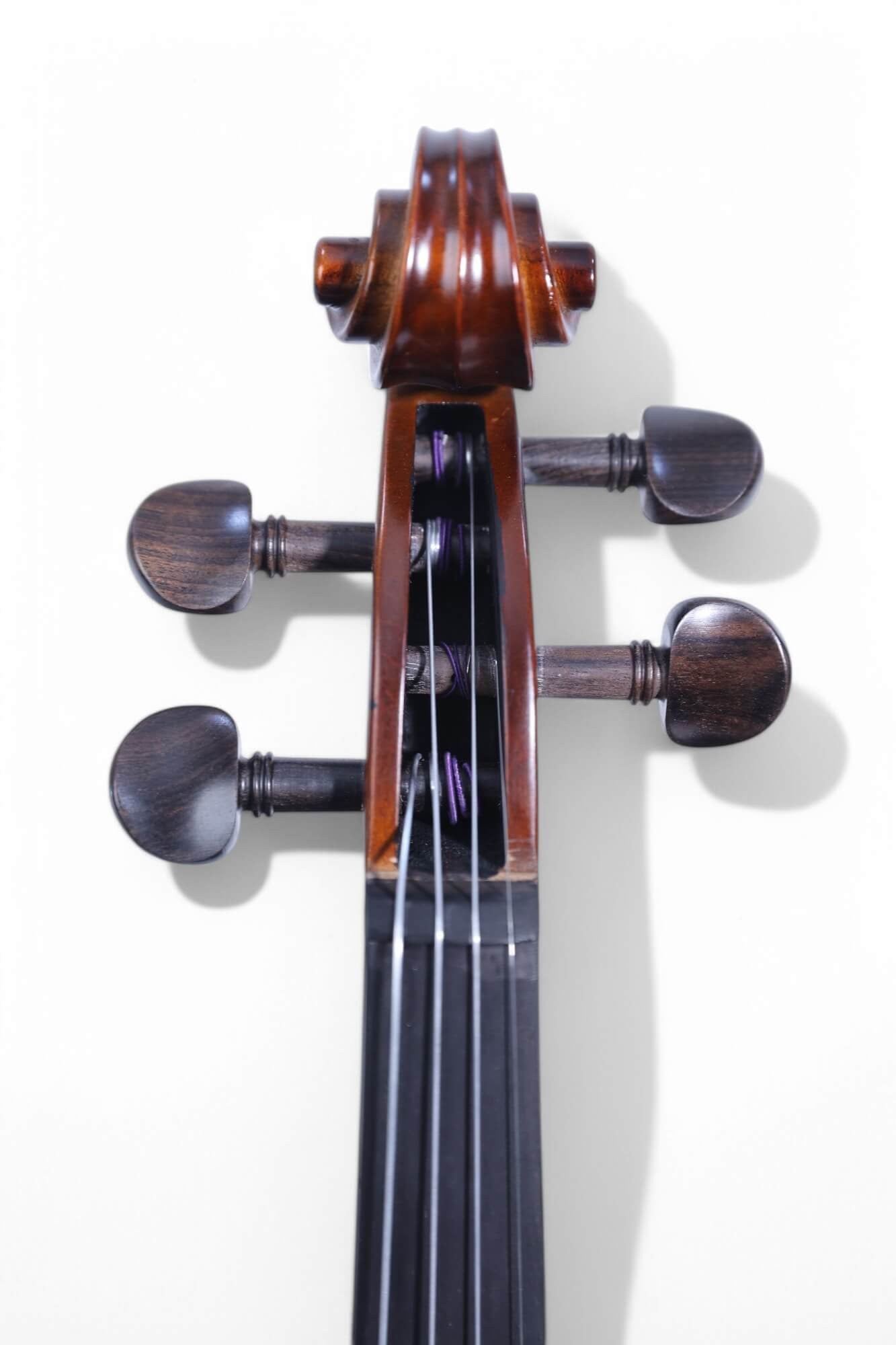 Carlos Marshello MV300 4/4 Size Violin - Deccan Retail