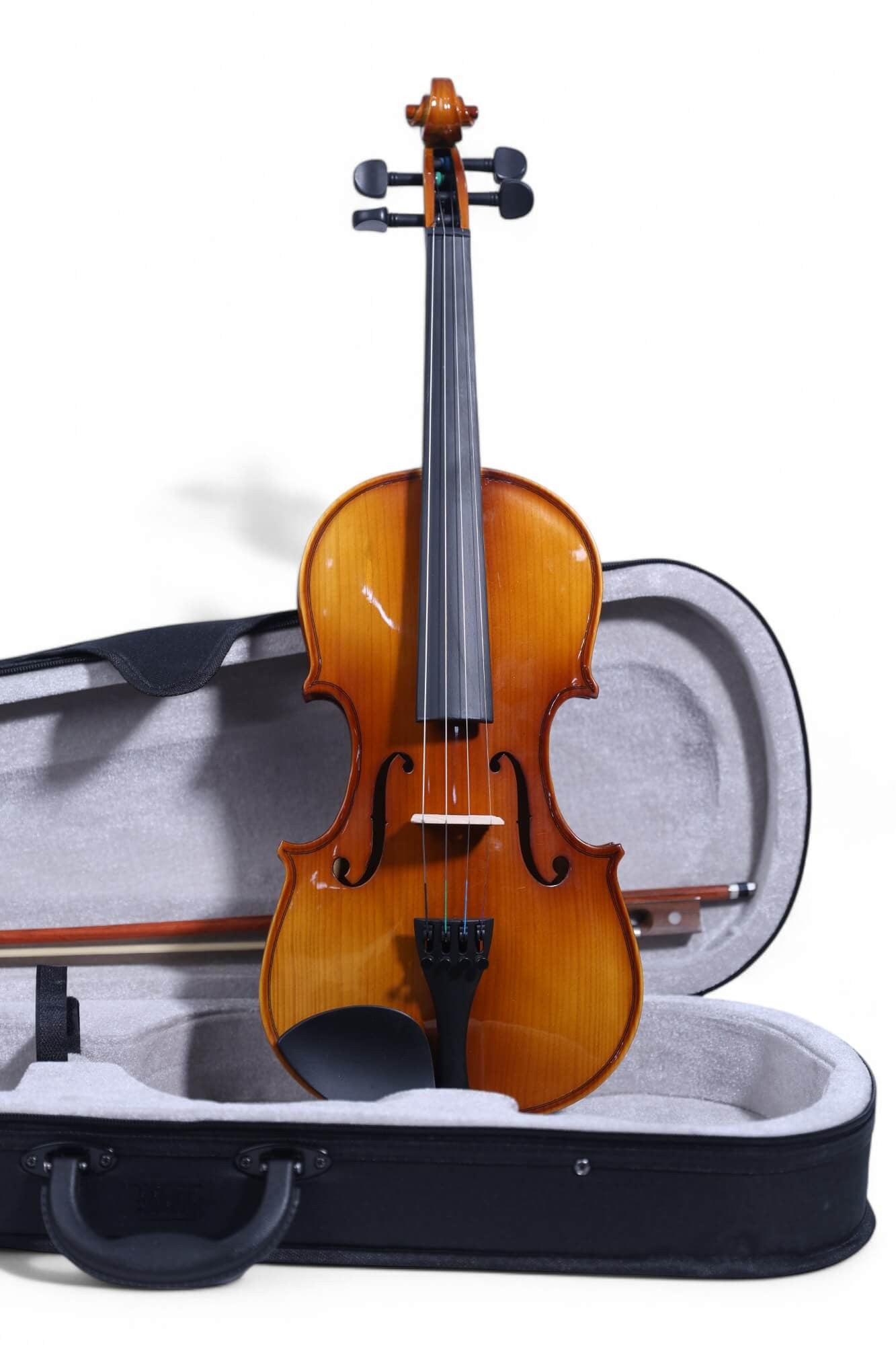 Carlos Marshello MV250 4/4 Size Violin - Deccan Retail