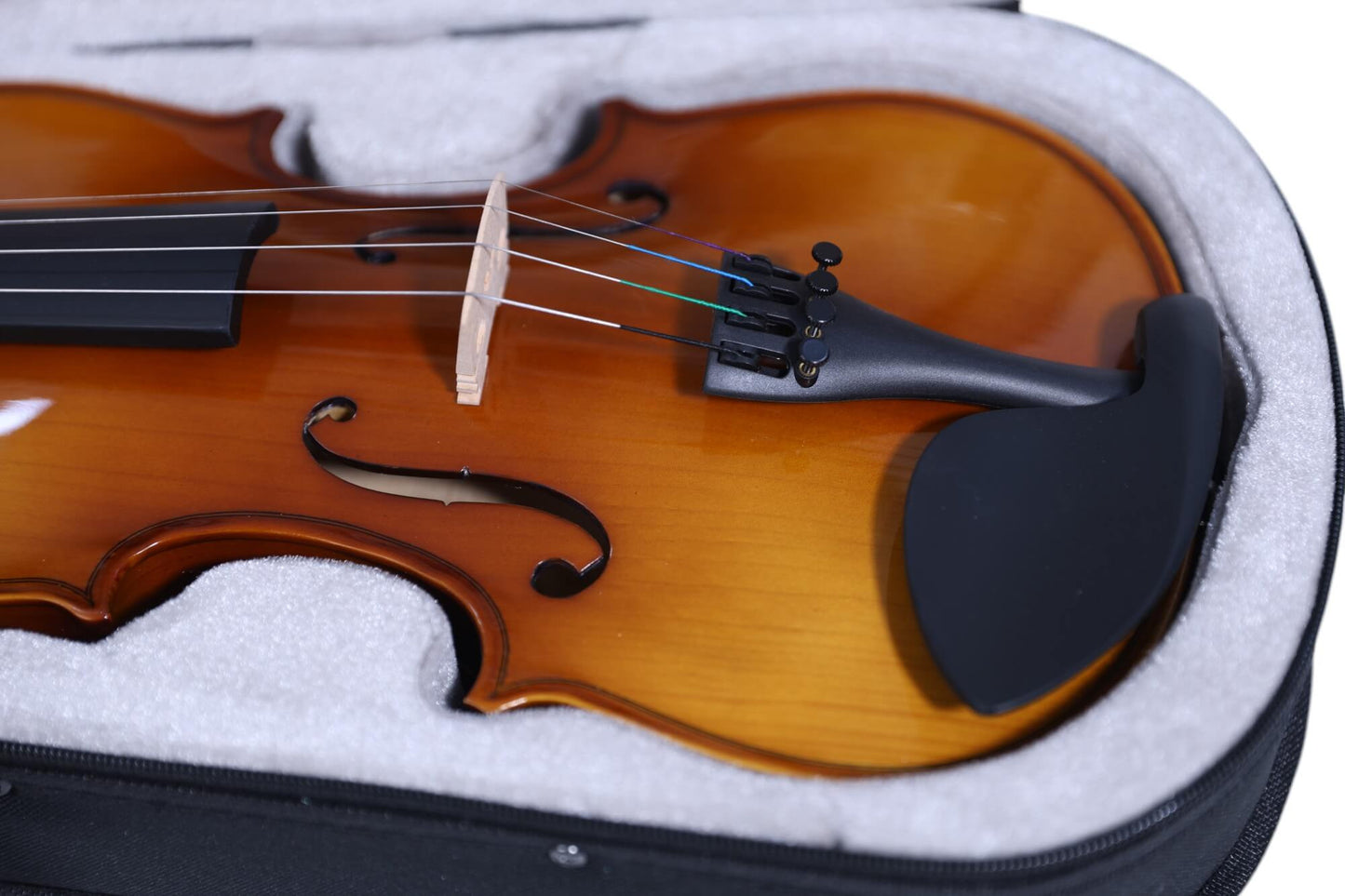 Carlos Marshello MV250 4/4 Size Violin - Deccan Retail