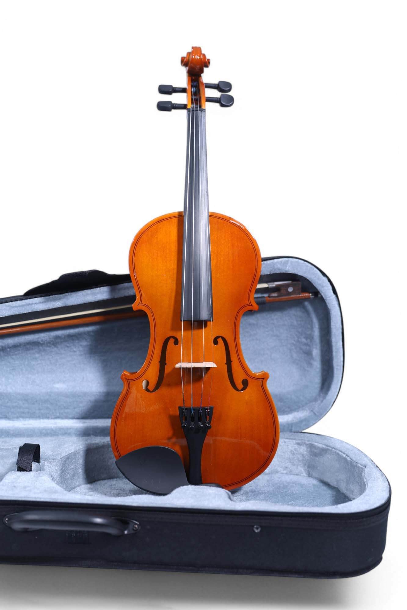 Carlos Marshello MV200 4/4 Full Size Violin for Beginners - Deccan Retail