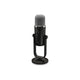 Behringer Bigfoot All-in-One USB Studio Condenser Microphone - Deccan Retail