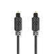 NEDIS TosLink Male | TosLink Male | 2.00 m | Round | PVC | Anthracite