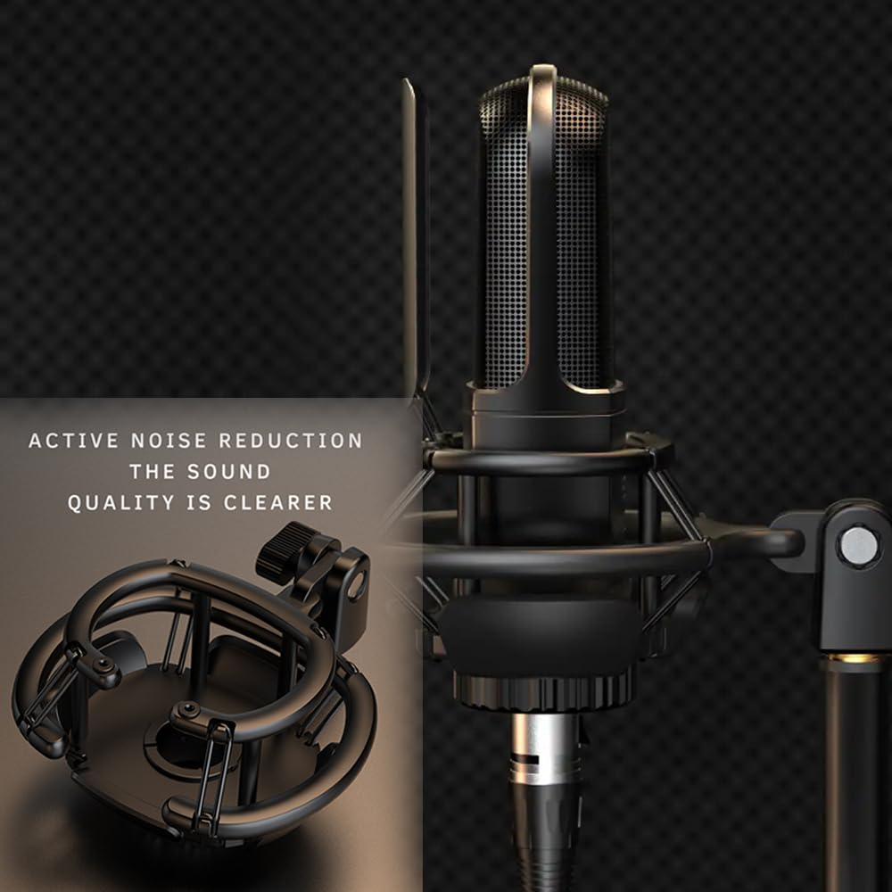FIFINE K726 Cardioid Condenser Microphone with XLR Output
