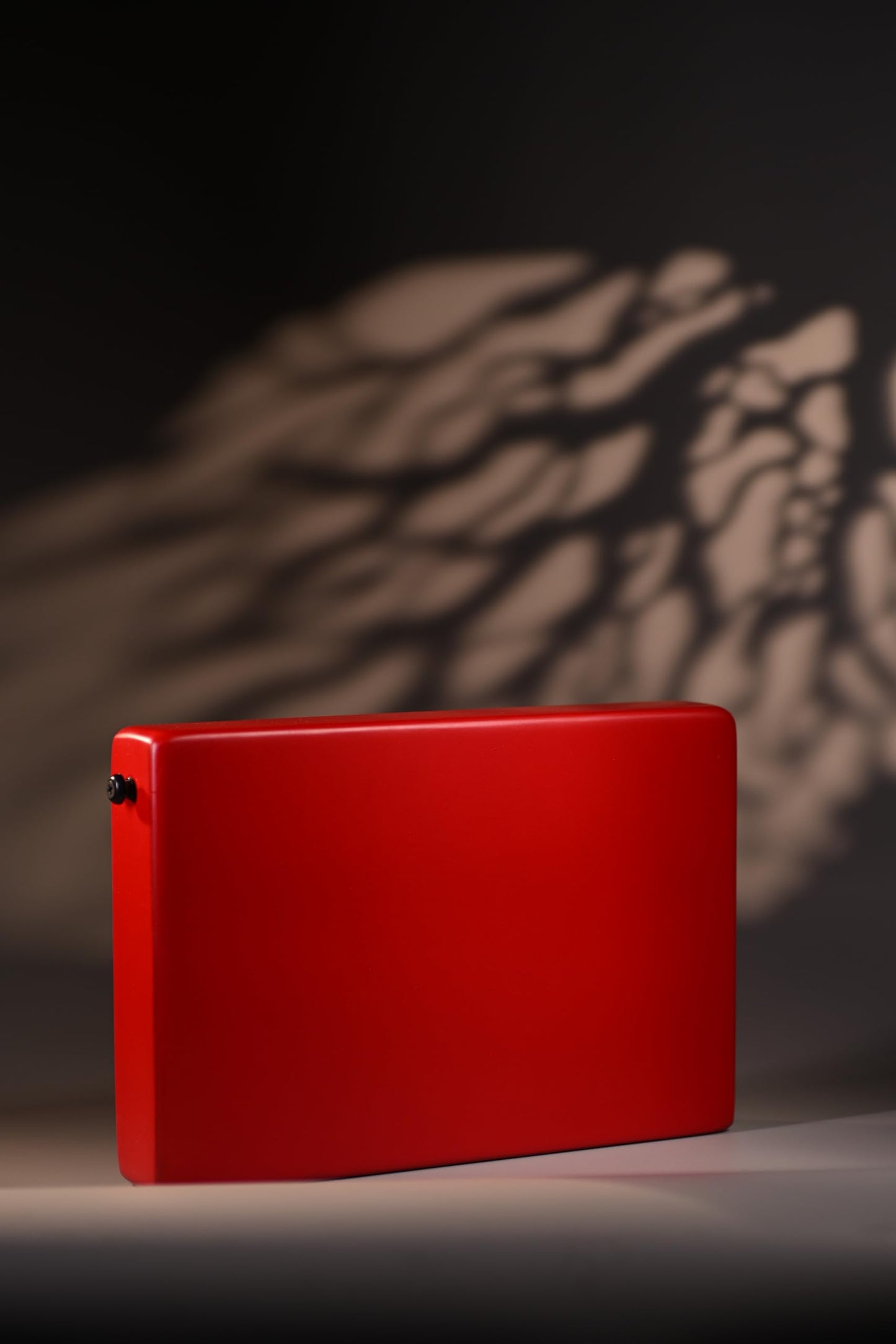 Gappu JamBox with Strap - Red - Deccan Retail