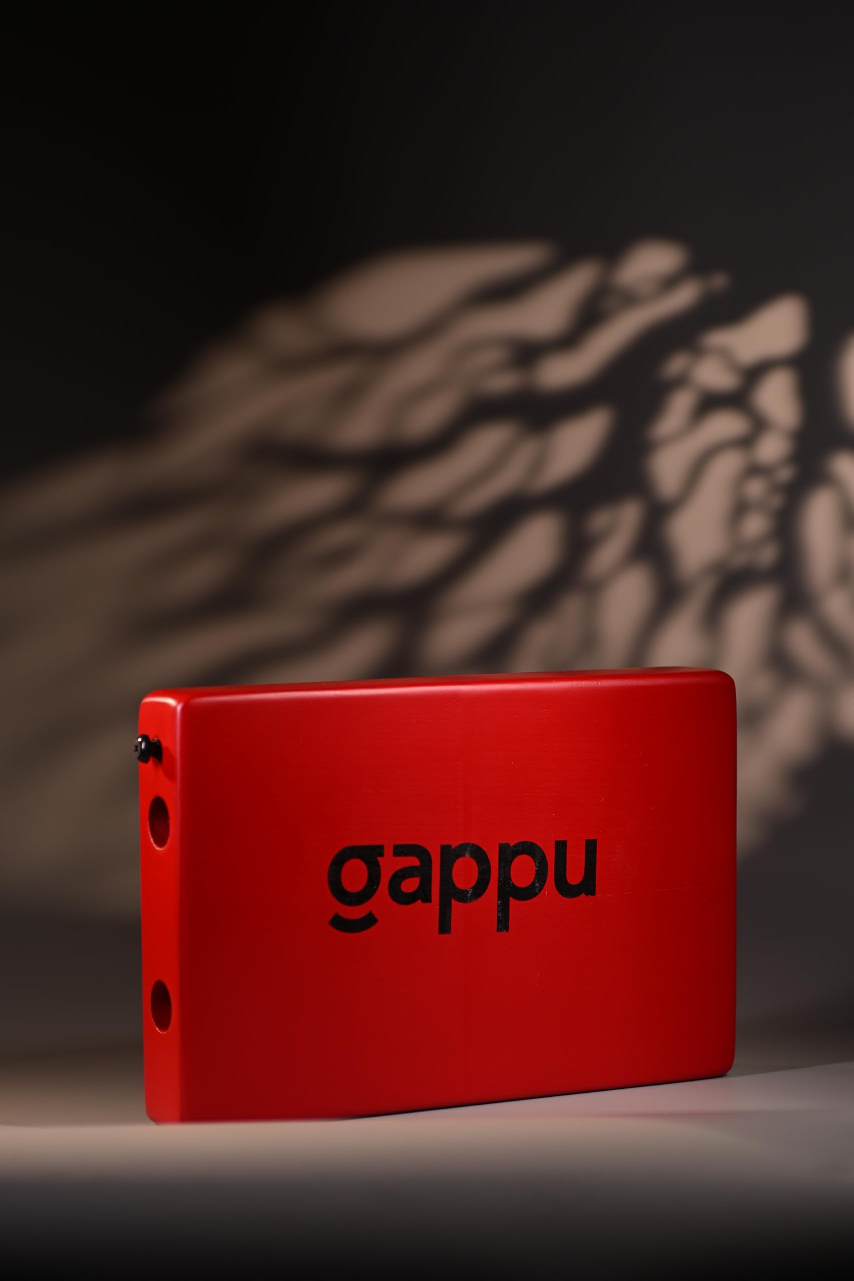 Gappu JamBox with Strap - Red - Deccan Retail