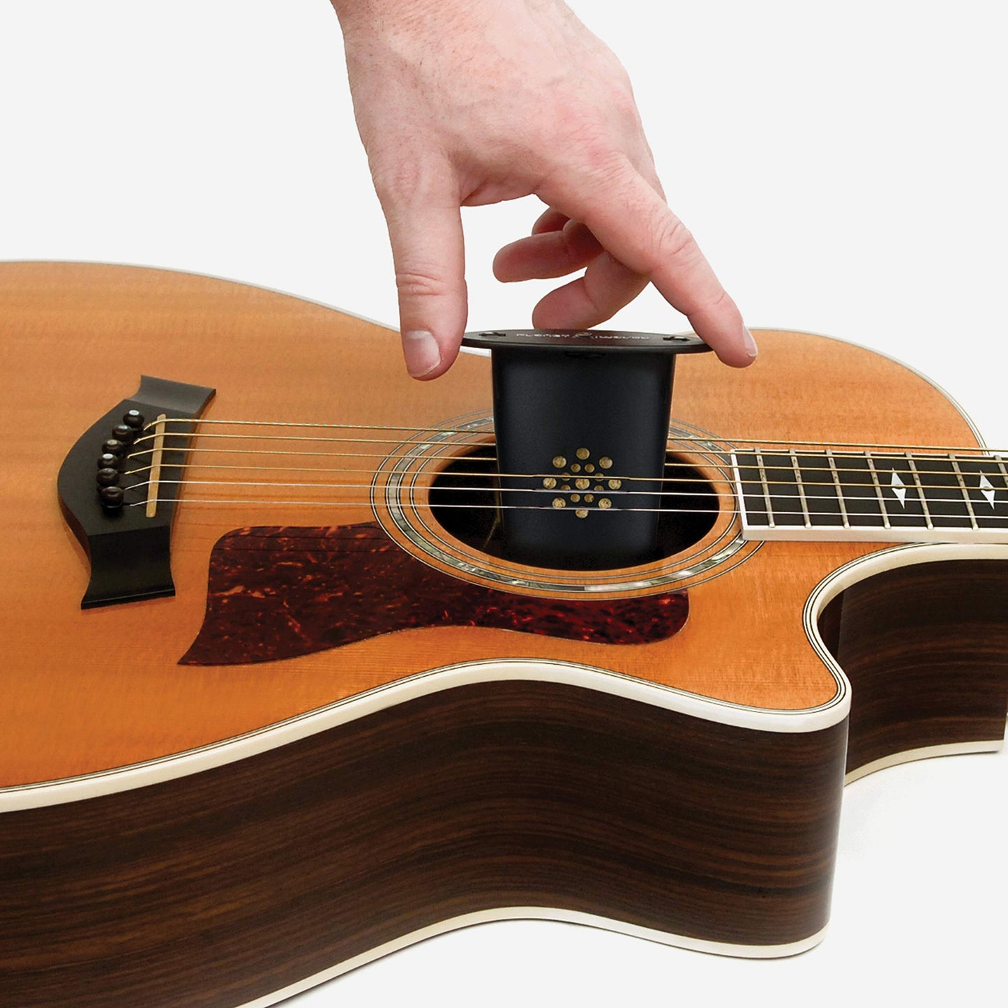 Planet Waves GH Acoustic Guitar Humidifier by D'Addario - Deccan Retail
