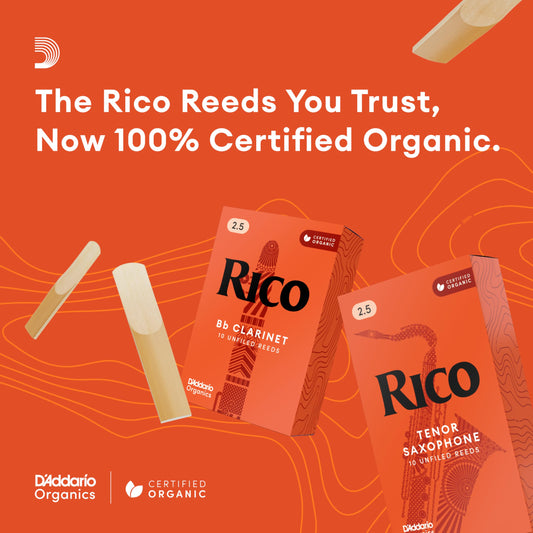Rico Bb Clarinet Reeds Strength 2.0 – 10 Pack - Deccan Retail