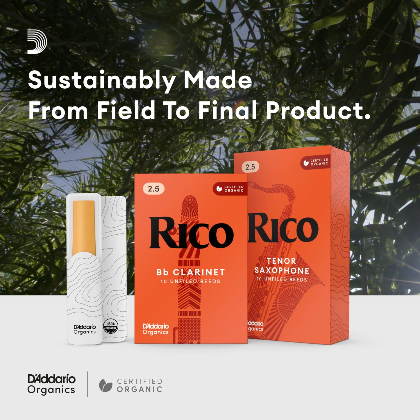 Rico Bb Clarinet Reeds Strength 2.0 – 10 Pack - Deccan Retail
