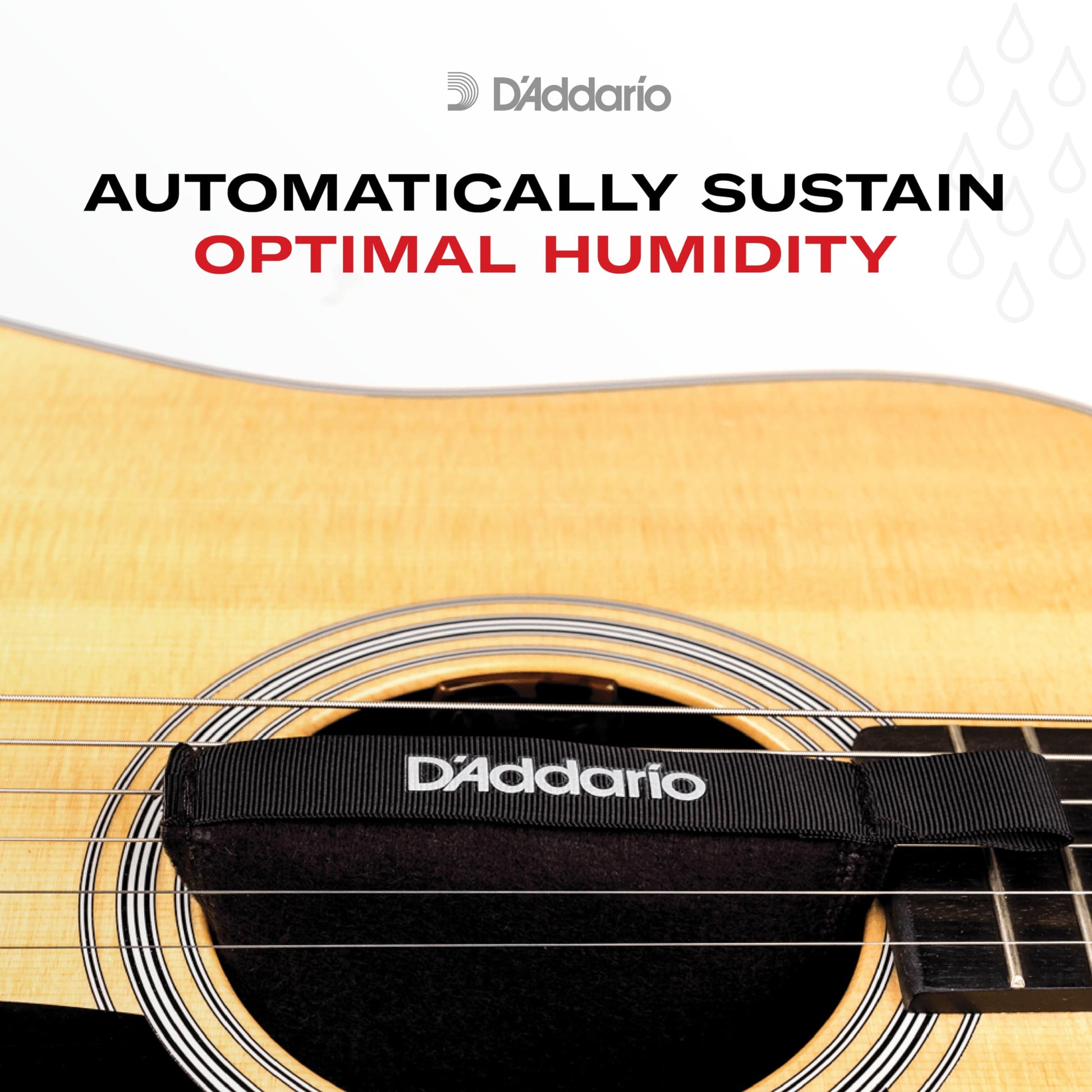 D'Addario Humidipak Automatic Humidity Control System for Guitar (PW-HPK-01) - Deccan Retail