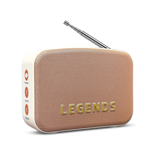 Saregama Carvaan Mini 2.0 Hindi - Imperial White