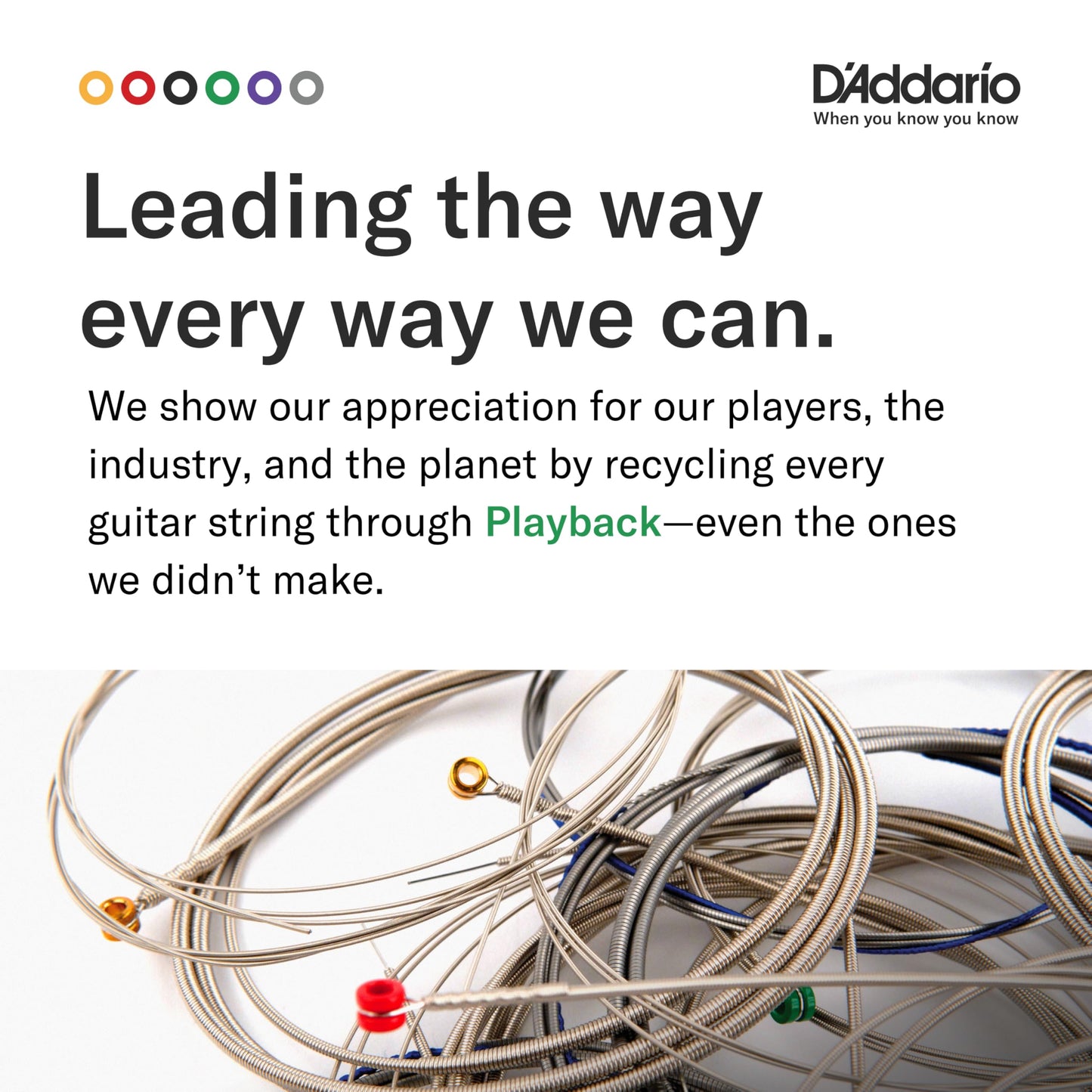 D'Addario EJ11 80/20 Bronze Acoustic Guitar Strings Light 12-53 - Deccan Retail