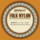 D'Addario Folk Nylon Guitar Single String Silver Wound Ball End .031 (BES031W) - Deccan Retail