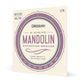 D'Addario EJ70 Phosphor Bronze Mandolin Strings Ball End Medium/Light 11-38 - Deccan Retail