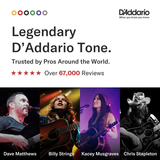 D'Addario EJ16 Phosphor Bronze Acoustic Guitar Strings – Light 12-53 - Deccan Retail
