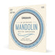 D'Addario EJ62 80/20 Bronze Mandolin Strings Light 10-34 - Deccan Retail
