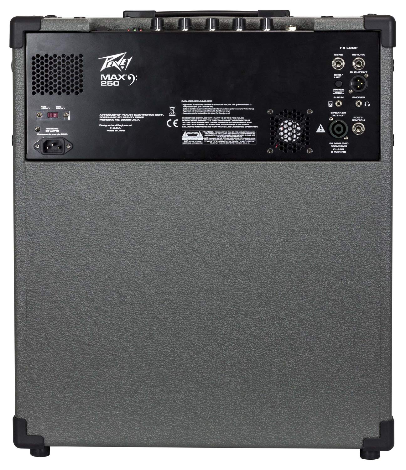 Peavey 250W Bass Guitar Combo Amplifier with 15" Speaker - Deccan Retail