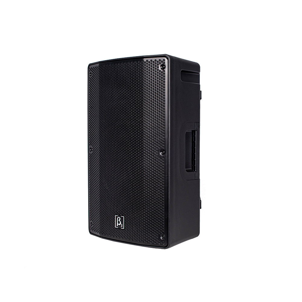 VX12 12-Inch Two-Way Full-Range PA Speaker - Deccan Retail