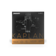 D'Addario Kaplan Amo Violin String Set 4/4 Scale Medium Tension (KA310 4/4M) - Deccan Retail