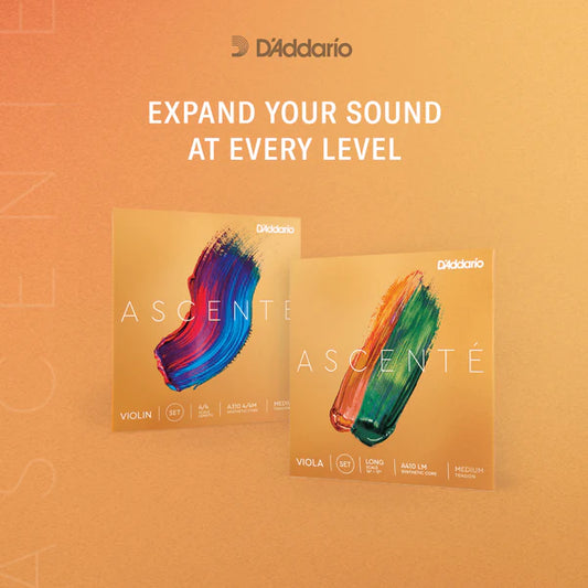 D'Addario Ascenté Violin String Set 4/4 Scale Medium Tension (A310 4/4M) - Deccan Retail