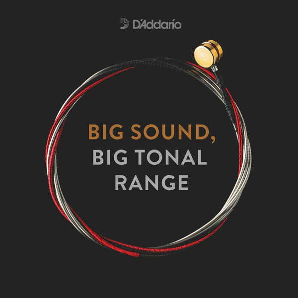 D'Addario Kaplan Bass String Set 3/4 Scale Light Tension (K610 3/4L) - Deccan Retail