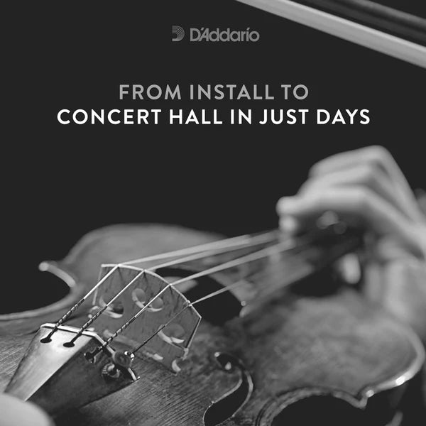 D'Addario Kaplan Vivo Violin String Set 4/4 Scale Light Tension (KV310 4/4L) - Deccan Retail