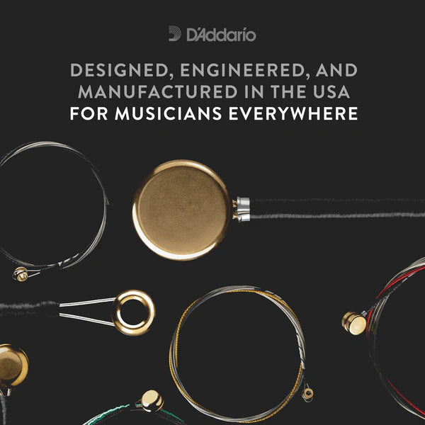D'Addario Kaplan Vivo Violin String Set 4/4 Scale Medium Tension (KV310 4/4M) - Deccan Retail